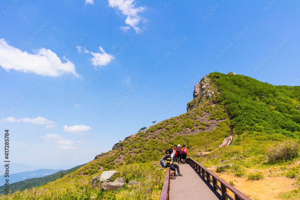 황매산성 봄
황매산성 봄