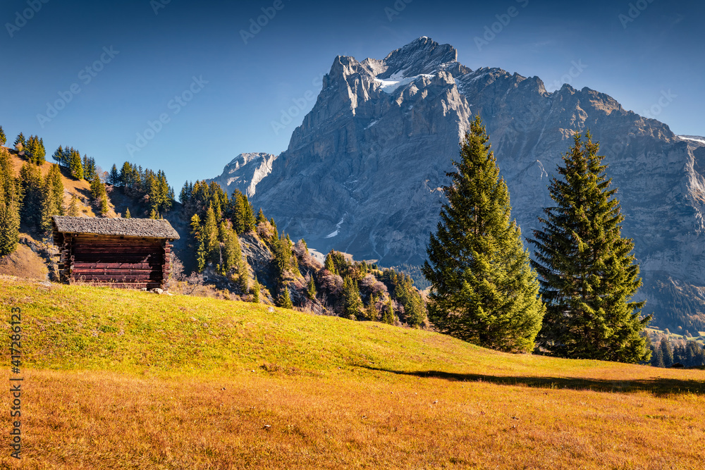 Sunny autumn scene of Grindelwald village valley. Majestic morning view of Swiss Bernese Alps, Switzerland, Europe. Beauty of countryside concept background.