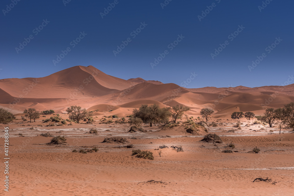 Waves of sand Desert Dunes - Namibia Waves of sand Desert Dunes - Namibia