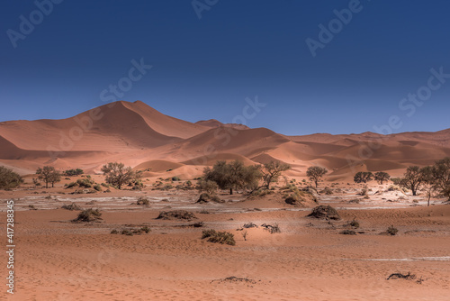  Waves of sand Desert Dunes - Namibia