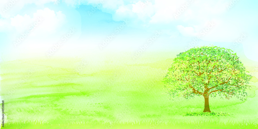 Fototapeta premium 新緑 葉 春 背景