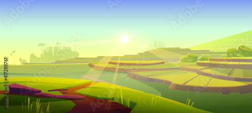 Rice field terraces, green paddy at morning. Vector cartoon illustration of summer landscape with crop plantation on hills at sunrise. Asian terraced farmland and sun rays