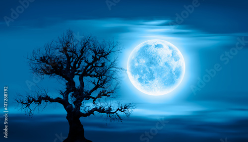 Lone dead tree with super full blue Moon -"Elements of this Image Furnished by NASA" © muratart