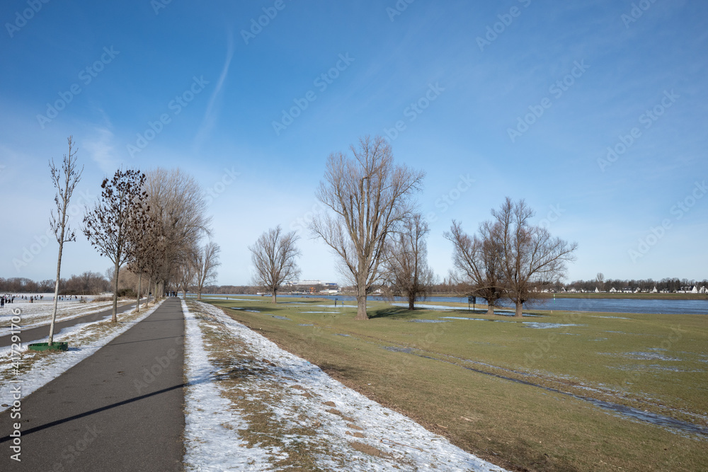 Φωτογραφία Outdoor sunny perspective view of small road along natural riverside of Rhine River covered with slush snow and ice pond in winter season in Düsseldorf, Germany