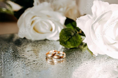 Golden wedding rings on mirror under sun. White roses on white table. Fresh flowers on white background. Wedding rings with water drops and flowers.
