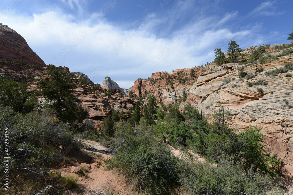 Scenic view of the mountains, cliffs and trees at Zion National Park on a sunny day