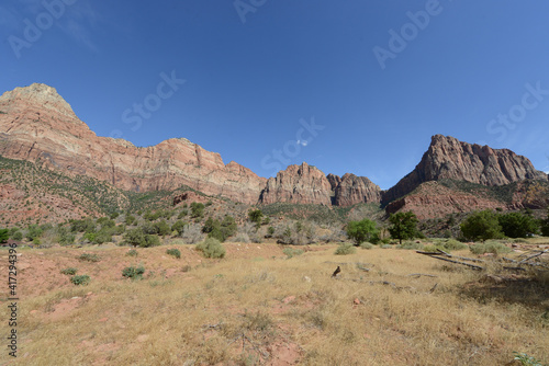 Landscape view of the cliffs and trees at Zion National Park on a sunny day