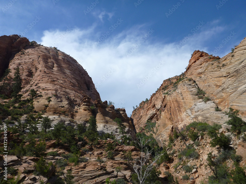 Scenic view of the mountains, cliffs and trees at Zion National Park on a sunny day