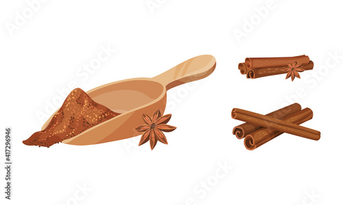 Dried Cinnamon Bark Strips and Bark Powder in Scoop Vector Set