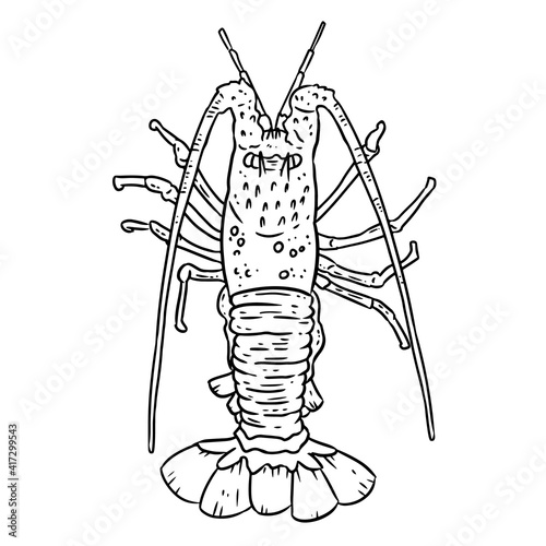 Lobster lineart doodle design for coloring book. Cute cartoon sketchbook image logo. Media graphic symbol