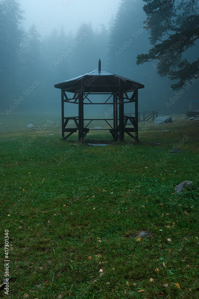 Naklejka premium Rainy day in the forest