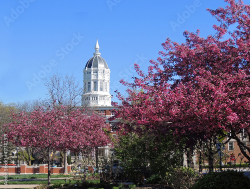 beautiful flowering redbud trees on a sunny spring day in front  of the white dome of jesse hall  on the university of missouri  campus, columbia, missouri