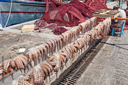 Tintenfische im Hafen von Naoussa, Insel Paros, Kykladen, Griechenland photo