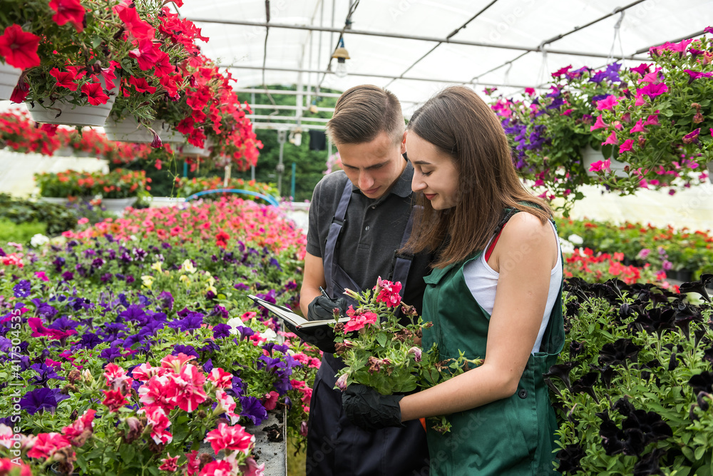 Young male and female florists with clipboard communicating while analzying stock of plants