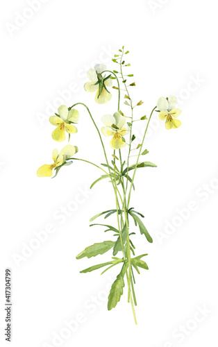 Watercolor bouquet of yellow forest flowers violets