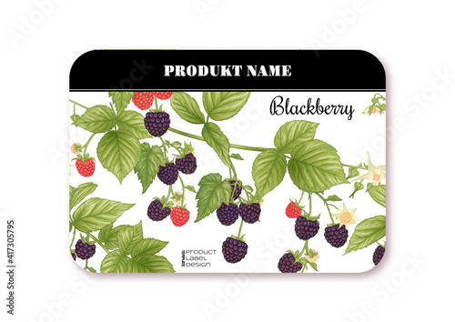 Blackberry. Ripe berries on branch. Template for product label, cosmetic packaging. Easy to edit. Graphic drawing, engraving style. Vector illustration..