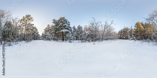Winter full spherical hdri panorama 360 degrees angle view on path  in snowy pinery forest  in equirectangular projection. VR AR content. cyclone aftermath lars © hiv360