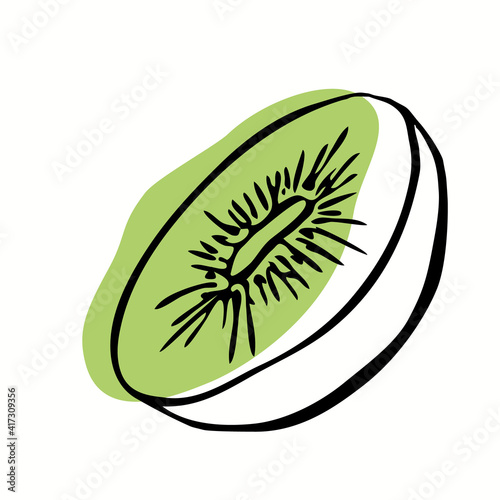 a single vector illustration of a kiwi. Lines art kiwi fruit