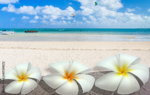 Fleurs de frangipanier sur plage paradisiaque de Mourouk, île Rodrigues  © Unclesam