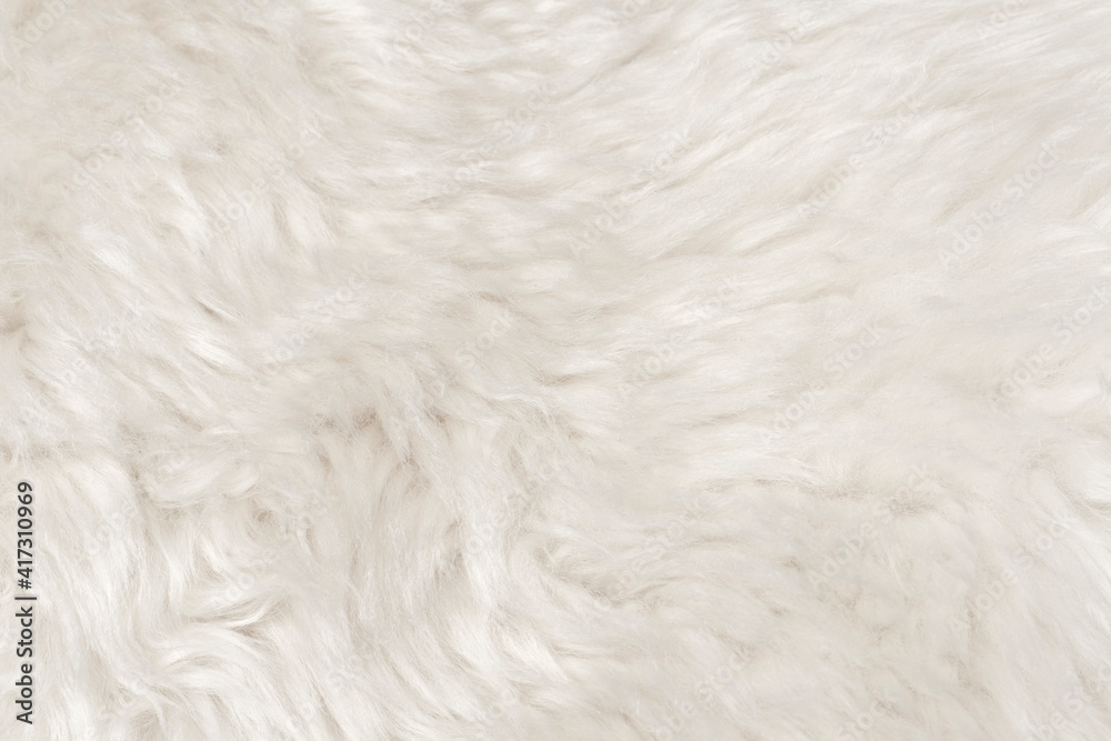 Natural animal white wool seamless texture background. light sheep wool. texture of fluffy fur for designers. close-up fragment white beige wool carpet Natural animal white wool seamless texture background. light sheep wool. texture of fluffy fur for designers. close-up fragment white beige wool carpet