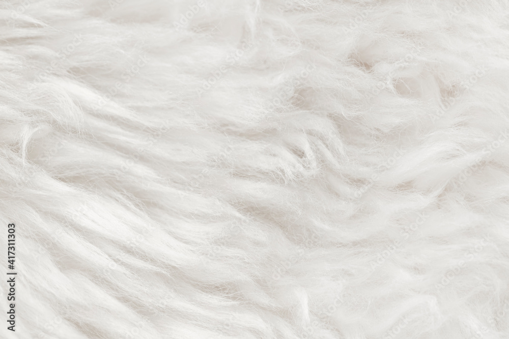 Natural animal white wool seamless texture background. light sheep wool. texture of fluffy fur for designers. close-up fragment white beige wool carpet Natural animal white wool seamless texture background. light sheep wool. texture of fluffy fur for designers. close-up fragment white beige wool carpet