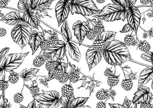 Raspberry or blackberry. Ripe berries on branch. Seamless pattern, background. Graphic drawing, engraving style. Vector  on black background.