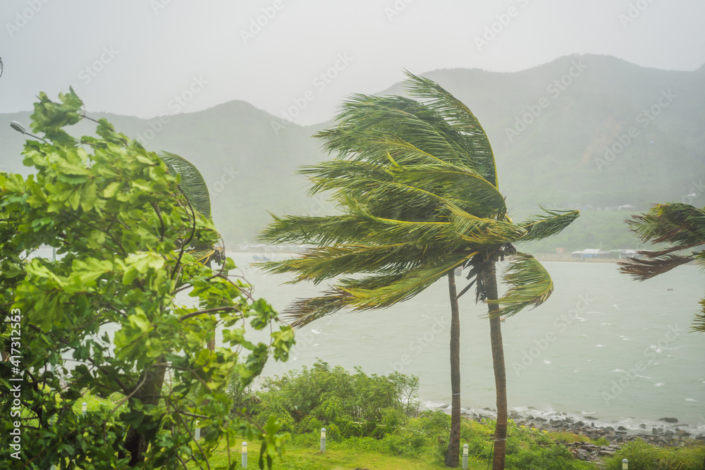 Heavy rain, tropical storm winds from Idalia pelt Bulloch