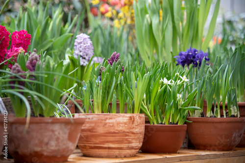 Many ceramic pots with bright flowers are arranged in a row.