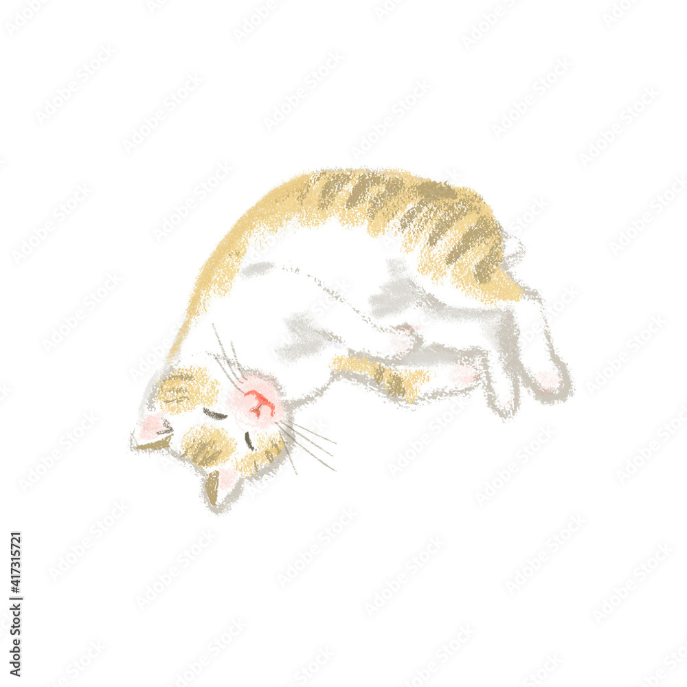 Obraz premium 眠る猫