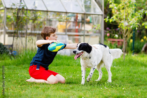 Active kid boy playing with family dog in garden. Laughing school child having fun with training dog, running and playing with ball. Happy family outdoors. Friendship between animal and kids