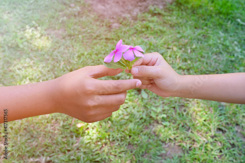 Child hand giving purple pink flowers with copy space. Friendship, kindness, caring, giving love and care concept.
