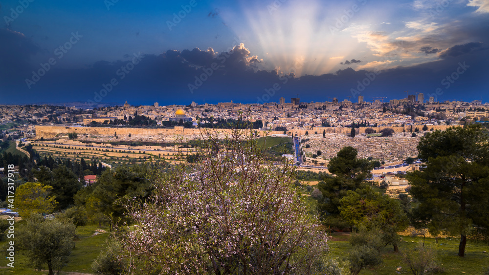 Fototapeta premium Beautiful dramatic spring sunset over Jerusalem, with Mount Zion, the Old City, the Dome of the Rock, the Golden Gate and St. Stephen Gate seen over a blossoming almond tree on Mount of Olives