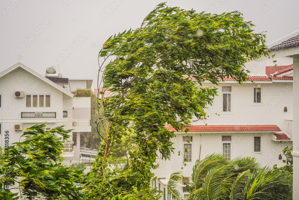 Fototapeta premium Tropical storm, heavy rain and high winds in tropical climates