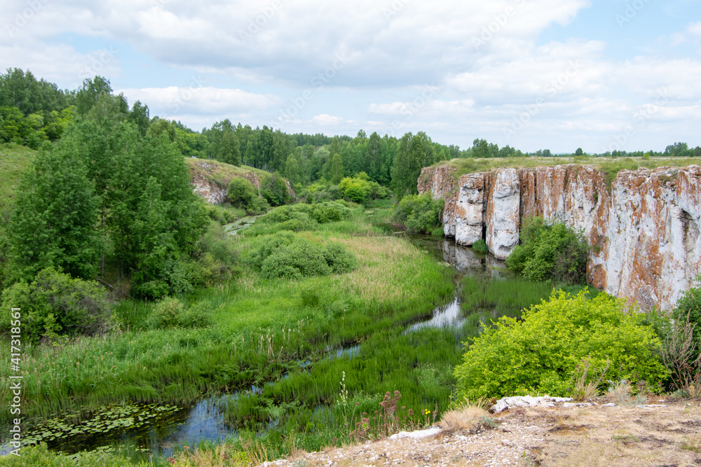 Sunny summer landscape with ravine, swamp, forest and rocky coast. White cumulus clouds in the sky. Bright green marsh grass and small trees by the river