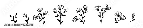 A set of field and garden flowers drawn by hand in ink on a white background. Twigs with leaves and buds sketch with a liner and a brush. Collection of botanical elements.