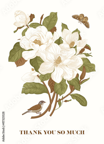 Magnolia. Spring here. Vector vintage botanical illustration. Thank you. Green and brown