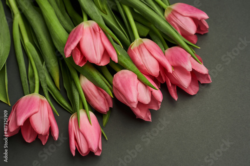 Fototapeta Naklejka Na Ścianę i Meble -  bouquet with beautiful large open pink tulips on a gray background