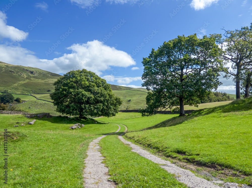 A rural scene looking along a track near Staveley, Cumbria