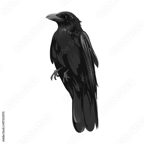 Hand Drawn Illustration of the black Raven bird. High Detailed Vector Art.Black crow cartoon illustration