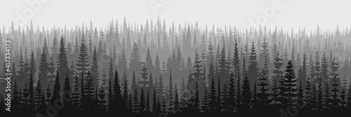 Panoramic view of taiga expanses, black and white landscape