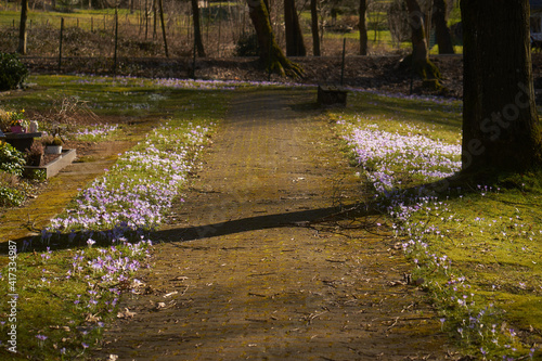 Path on graveyard with flowers