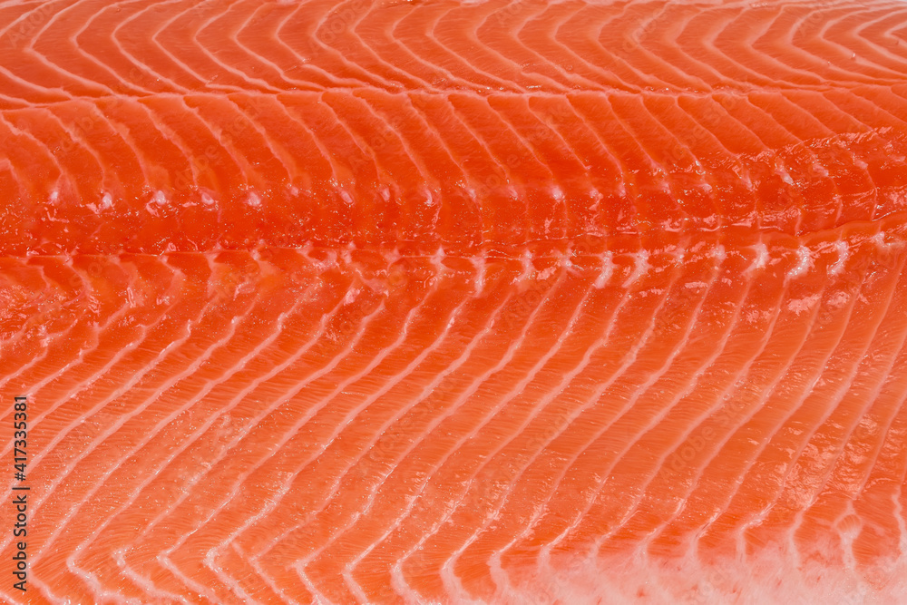 Background of chilled salmon fillet close-up