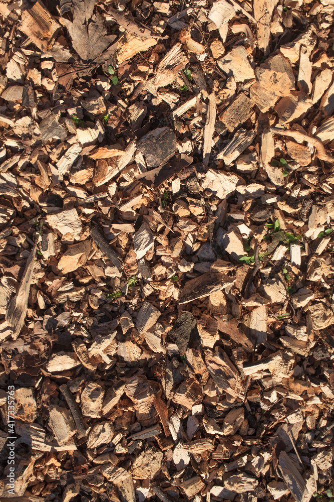 Holzspäne ,Holzschnitzel, Rindenmulch , Bodenbelag, Hintergrundbild Holzspäne ,Holzschnitzel, Rindenmulch , Bodenbelag, Hintergrundbild