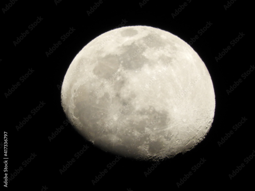 Fototapeta premium moon