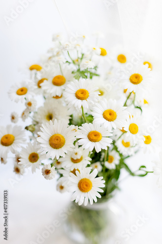 Bouquet of daisies  on  white background