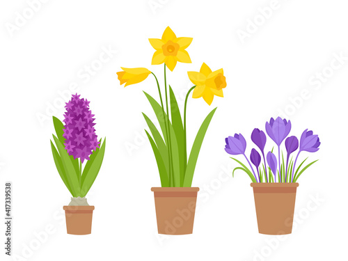 Vector illustration of spring flowers in pot isolated on white.