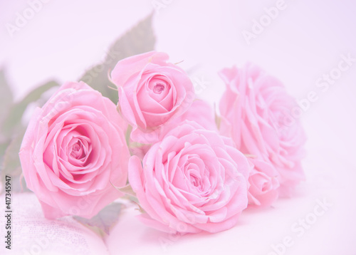 Pink roses in soft color  Made with blur style for background