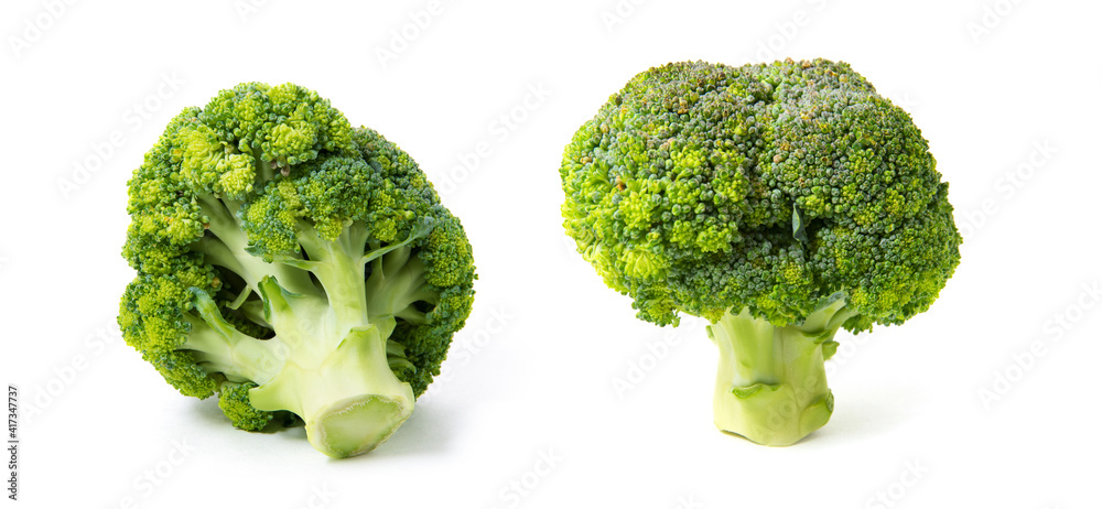 Broccoli isolated on white background