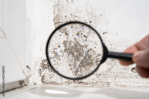 view through a magnifying glass white wall with black mold. © andrey