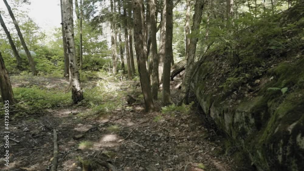 Gorgeous mossy forest with a massive stone boulder in the Gatineau Hills at Le Belvedere wedding venue property in Wakefield, Quebec. Gorgeous mossy forest with a massive stone boulder in the Gatineau Hills at Le Belvedere wedding venue property in Wakefield, Quebec.